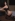 top_8