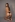 top_1